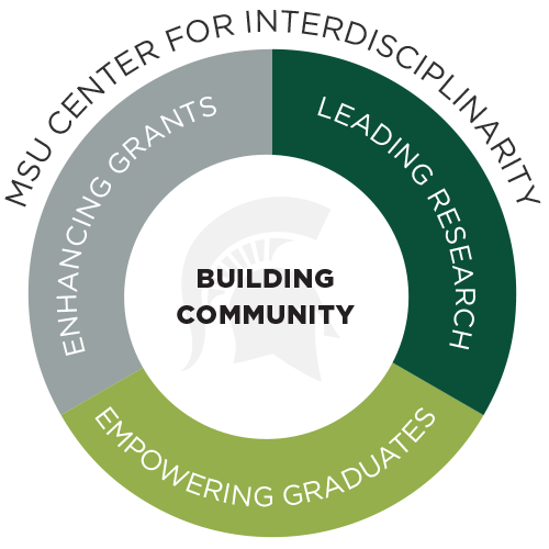 Michigan state course catalog image